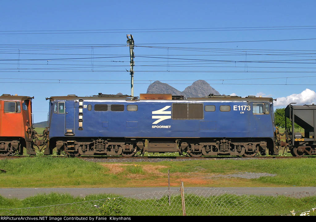 E1173